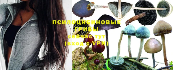 наркотики Алзамай