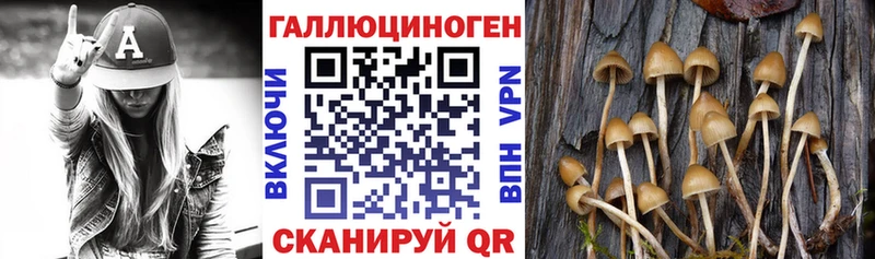 Галлюциногенные грибы мухоморы сколько стоит Карачев